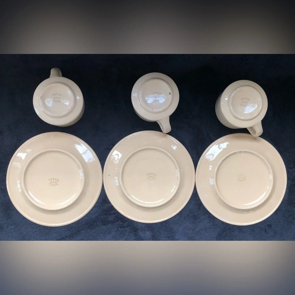6 Pcs. Tepco China Tan Cup And Plate Set USA